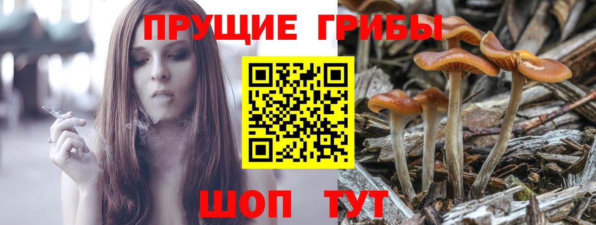 Моршанск  Галлюциногенные грибы MAGIC MUSHROOMS  Вход с VPN  Псилоцибиновые грибы Psilocybe 